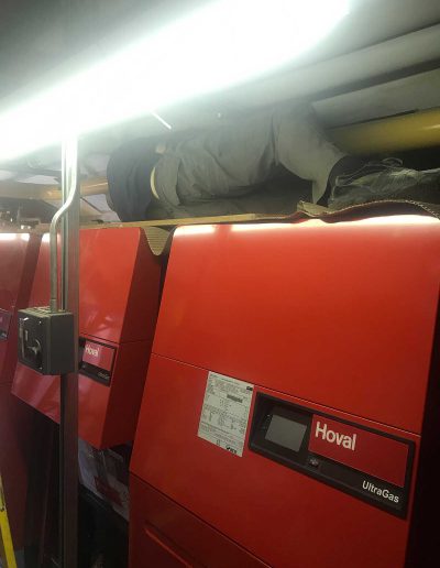 ACOMB primary school